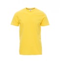 TEE-SHIRT HOMME COULEUR COTON JERSEY 155G