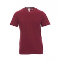 TEE-SHIRT HOMME COULEUR COTON JERSEY 155G