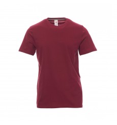 TEE-SHIRT HOMME COULEUR COTON JERSEY 155G