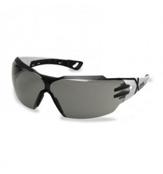 LUNETTE DE PROTECTION UVEX PHEOS CX2